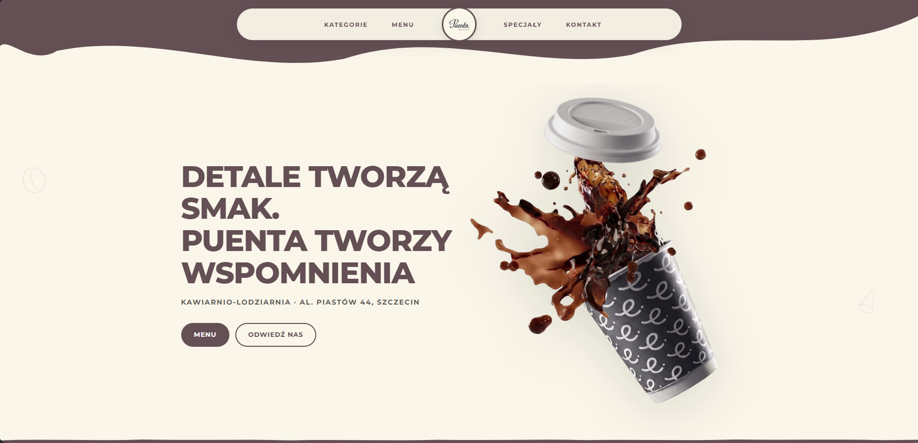Puenta Szczecin, case study